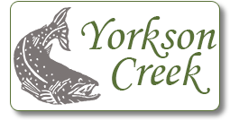 Yorkson Watershed Enhancement Society Logo