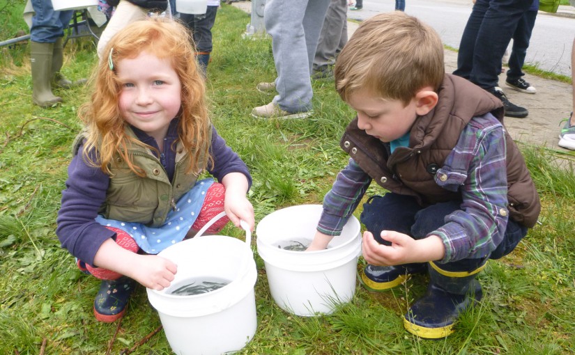 Fish Release a fun day for families