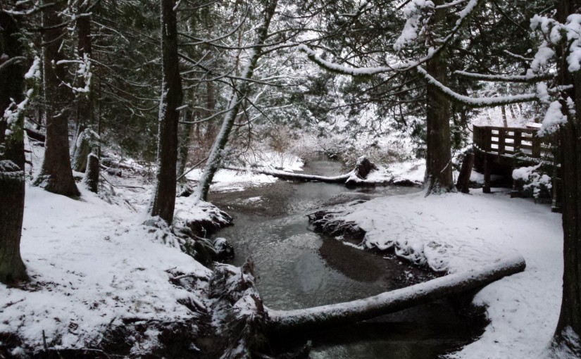 Yorkson Creek in the Snow