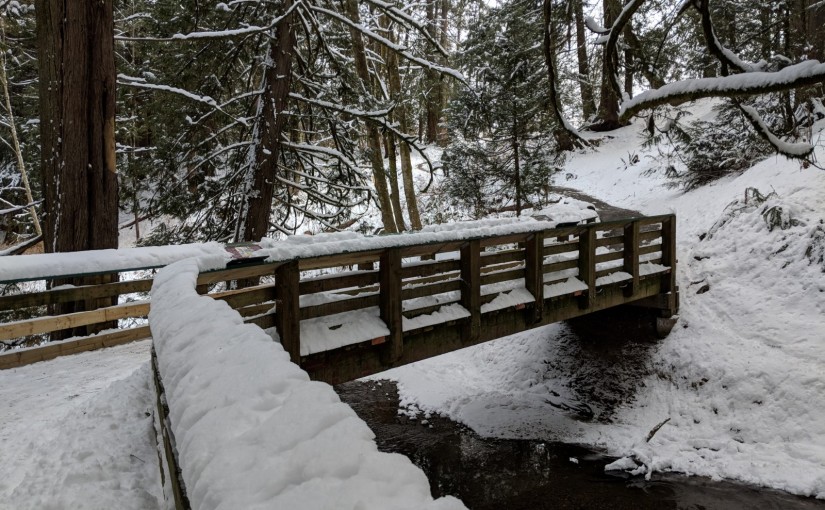 This spring in the Yorkson Creek Watershed