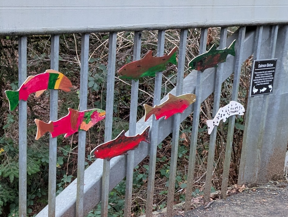 PXL_20251230_000908439