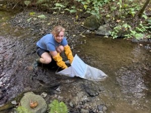 Aquatic Invertebrate sampling is one way YWES volunteers check the health of the creek.